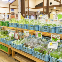michinoeki-kurume-064