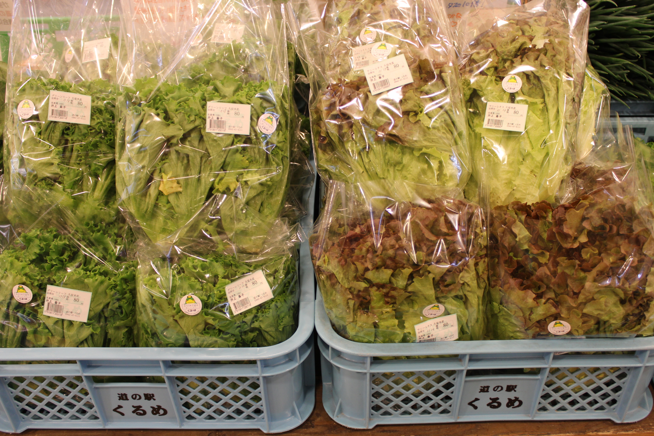 久留米産リーフレタスで食卓に彩りを 道の駅くるめ