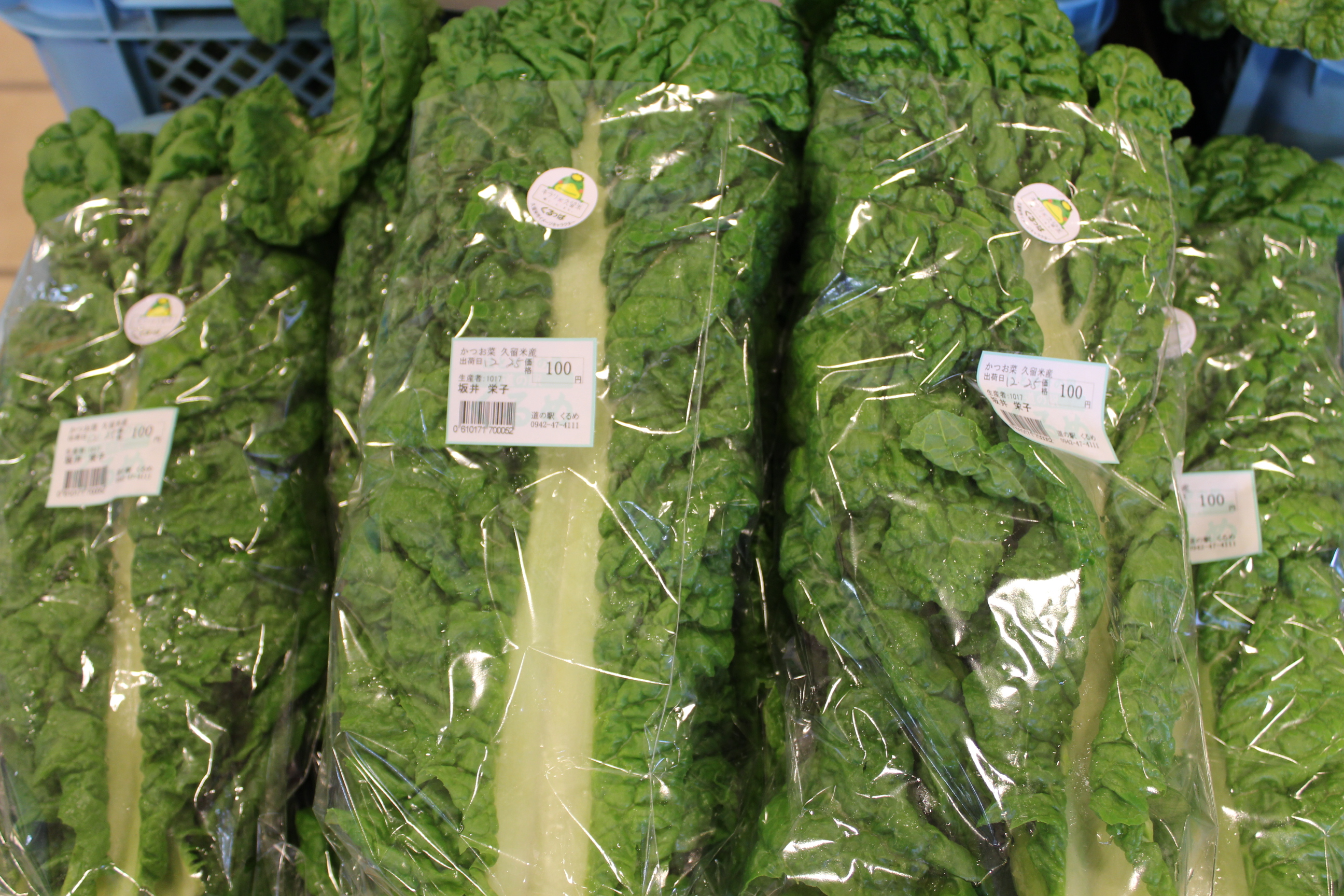 かつお菜 福岡県の伝統野菜 道の駅くるめ かつお菜 福岡県の伝統野菜 道の駅くるめ