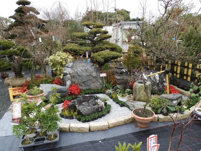 植木まつり 道の駅くるめ 植木まつり 道の駅くるめ