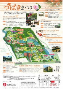 つばきフェア石橋②