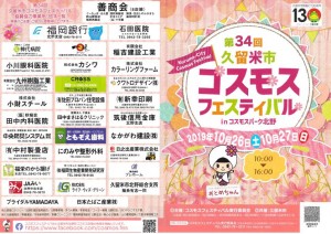 コスモス①