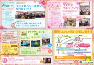 コスモス②