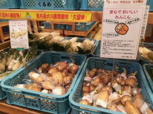 久留米れんこん