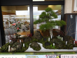 DSCN1617