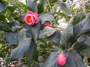 DSCN1640