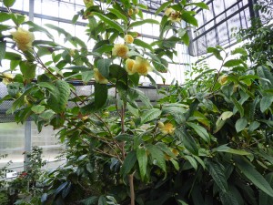 DSCN1641