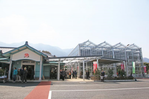 写真つばき館