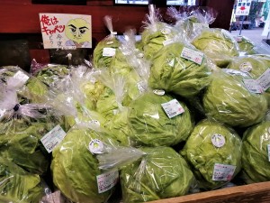 キャベツ②
