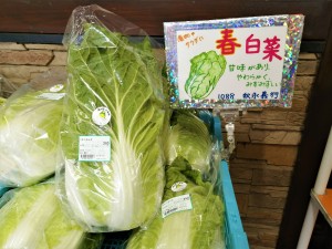 春白菜