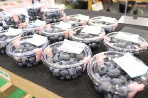 IMG_2501_1