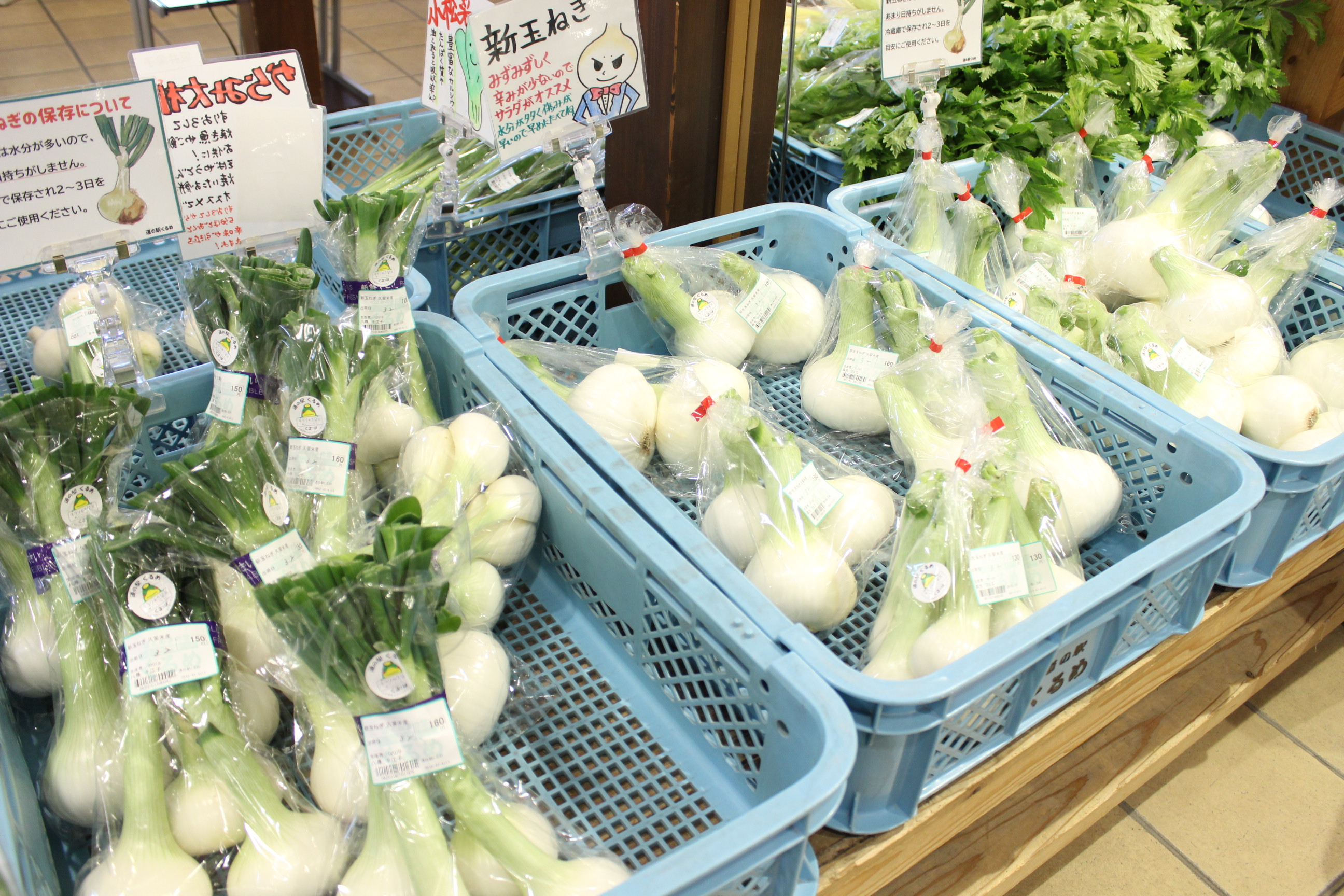 新玉ねぎの季節です 道の駅くるめ