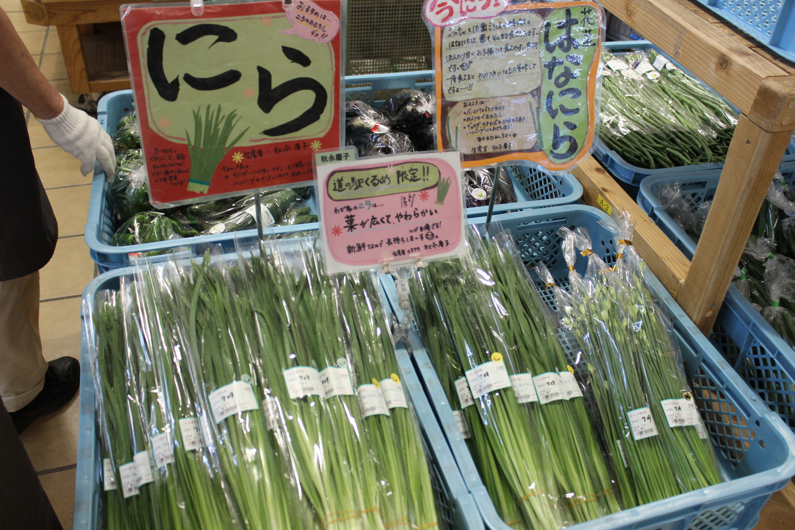 ニラを食べて 夏を元気に乗り切りましょう 道の駅くるめ