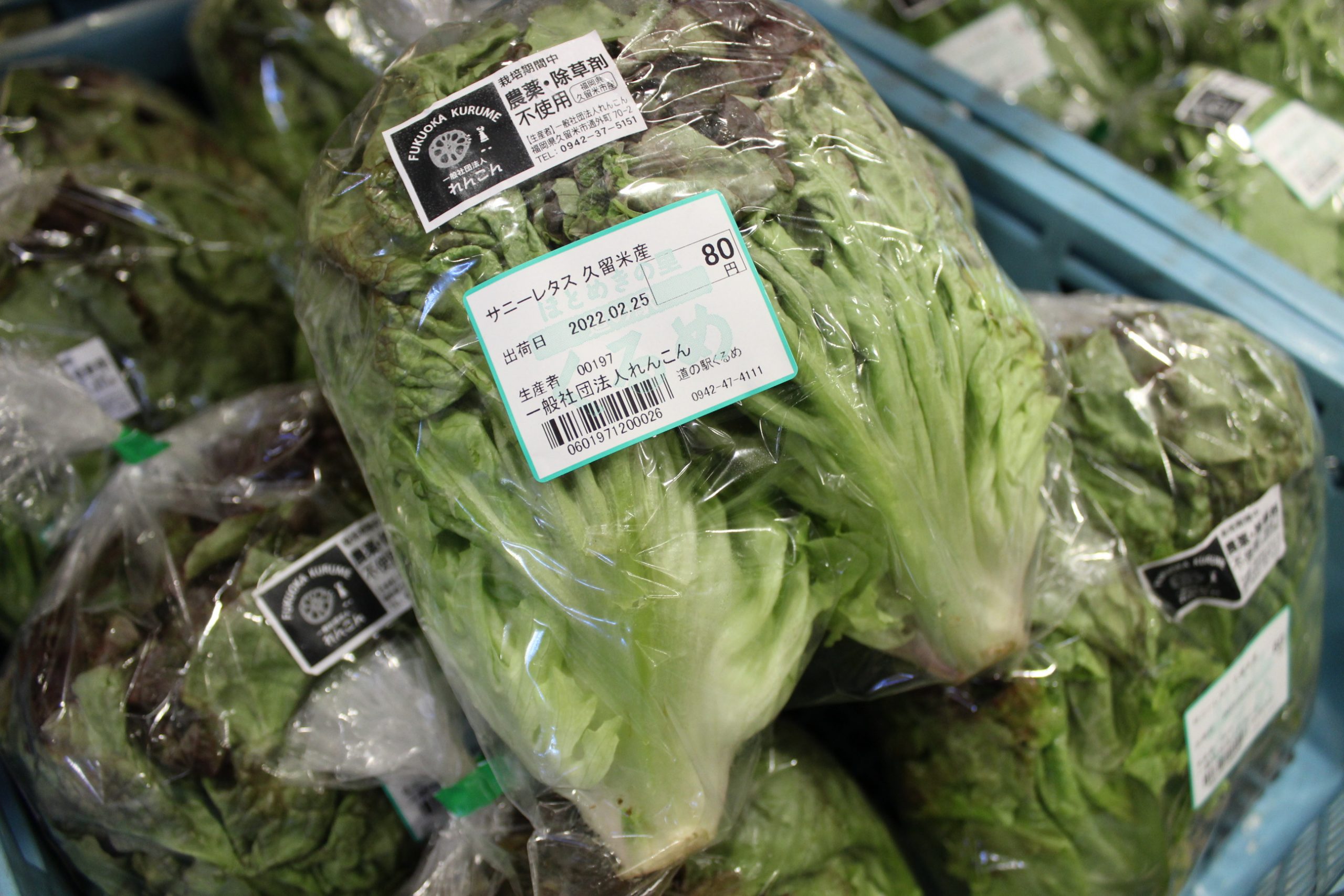 春にサラダはいかがですか 道の駅くるめ