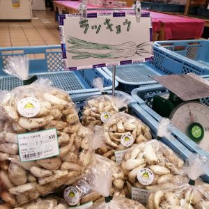 久留米産のらっきょう