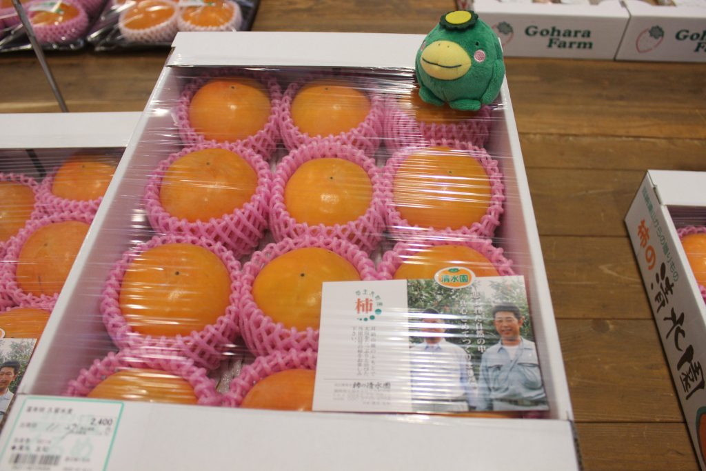 ギフト用富有柿の出荷がピークです！