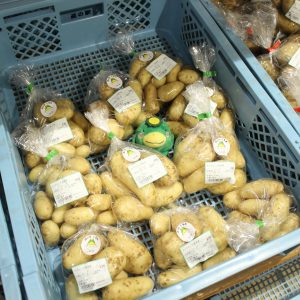 【お野菜情報】新じゃがの出荷が増えてきました☆