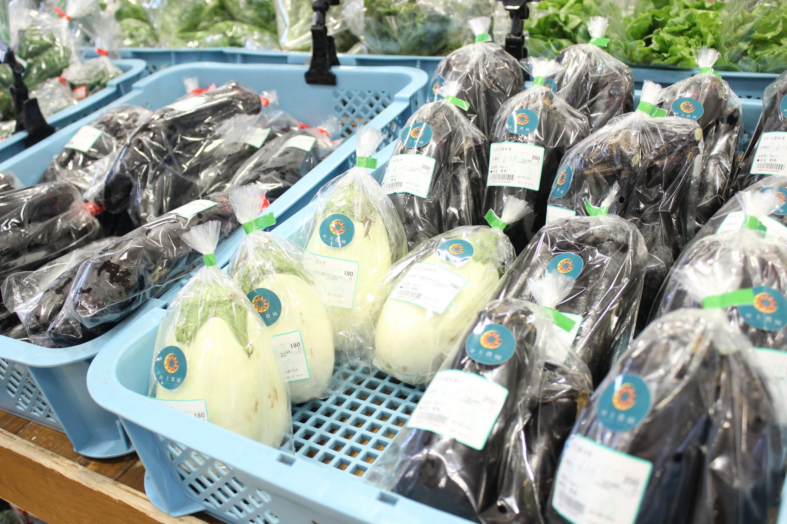 【農産物情報】焼いて揚げて煮て美味しい！なすはいかがですか？