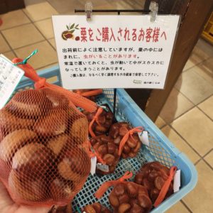 【農産物情報】「くり」の出荷が始まりました♬
