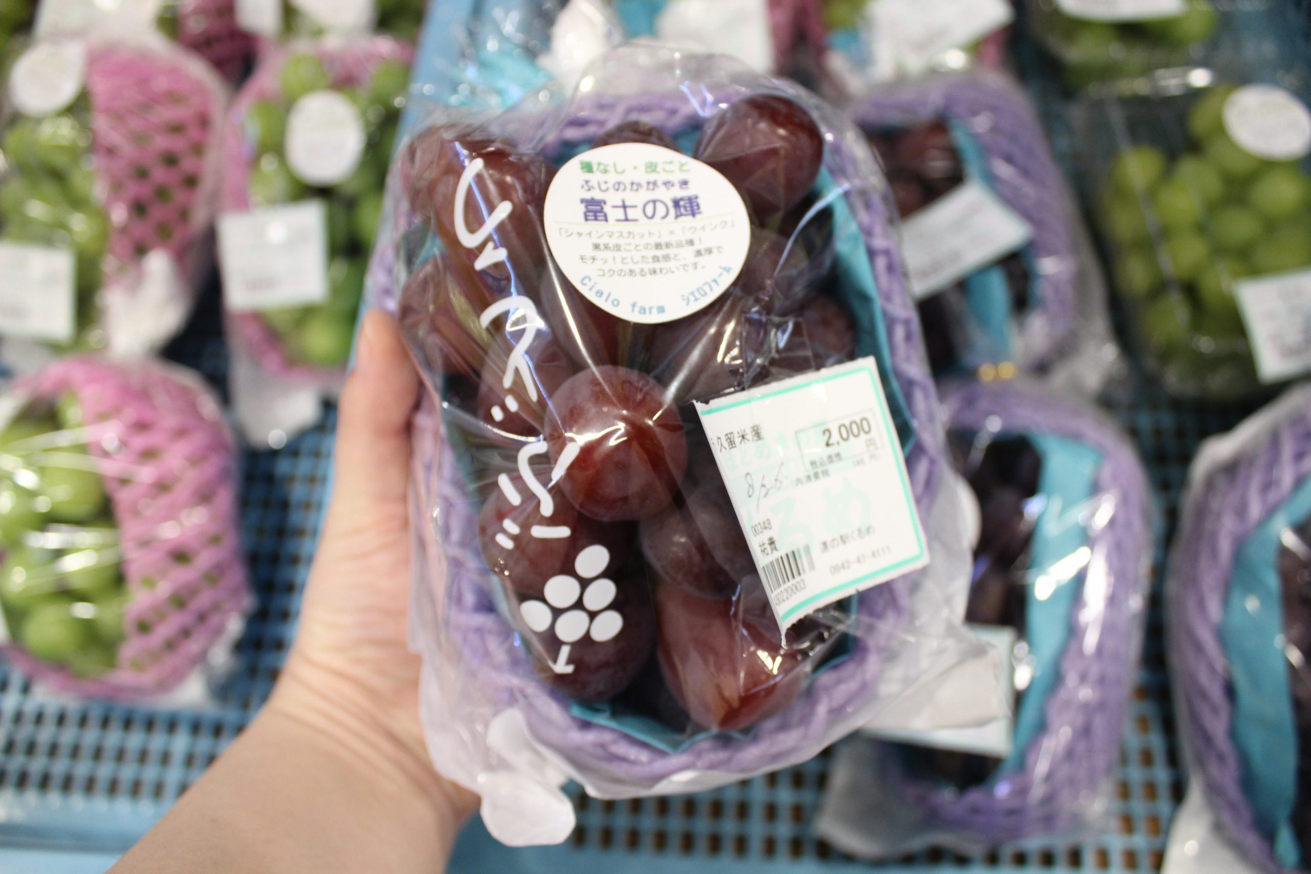 【農産物情報】美味しいぶどうはいかがですか？