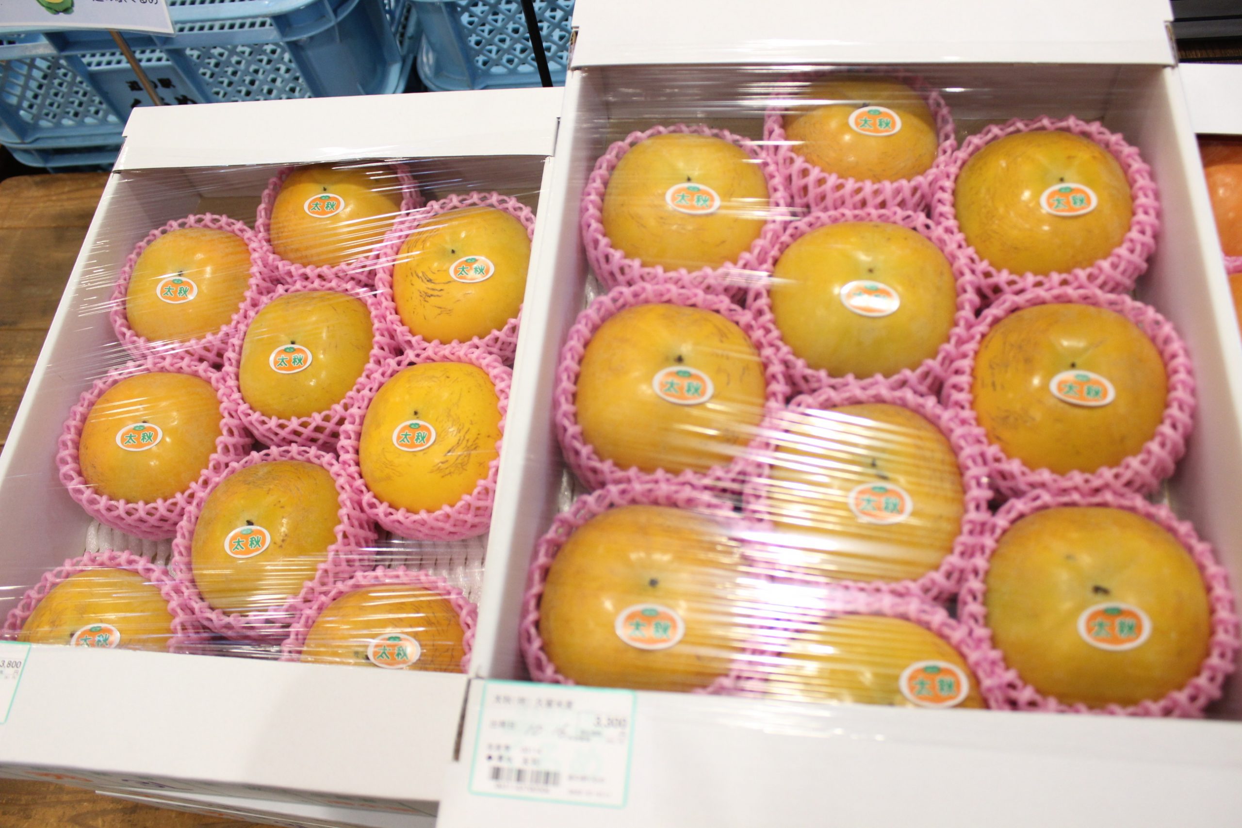 【農産物情報】太秋柿の出荷が始まっています！