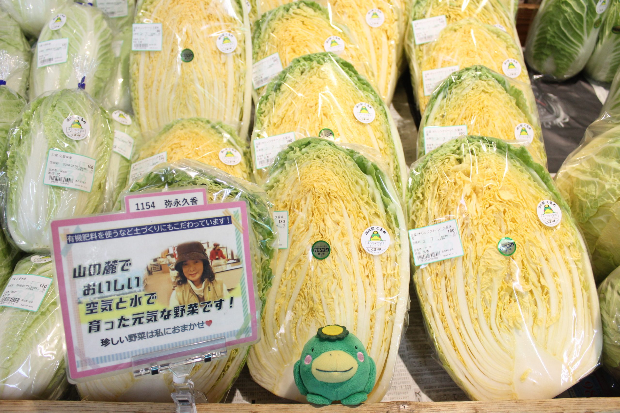 【本日の農産物情報】鍋物におすすめ白菜たくさん出荷中です！