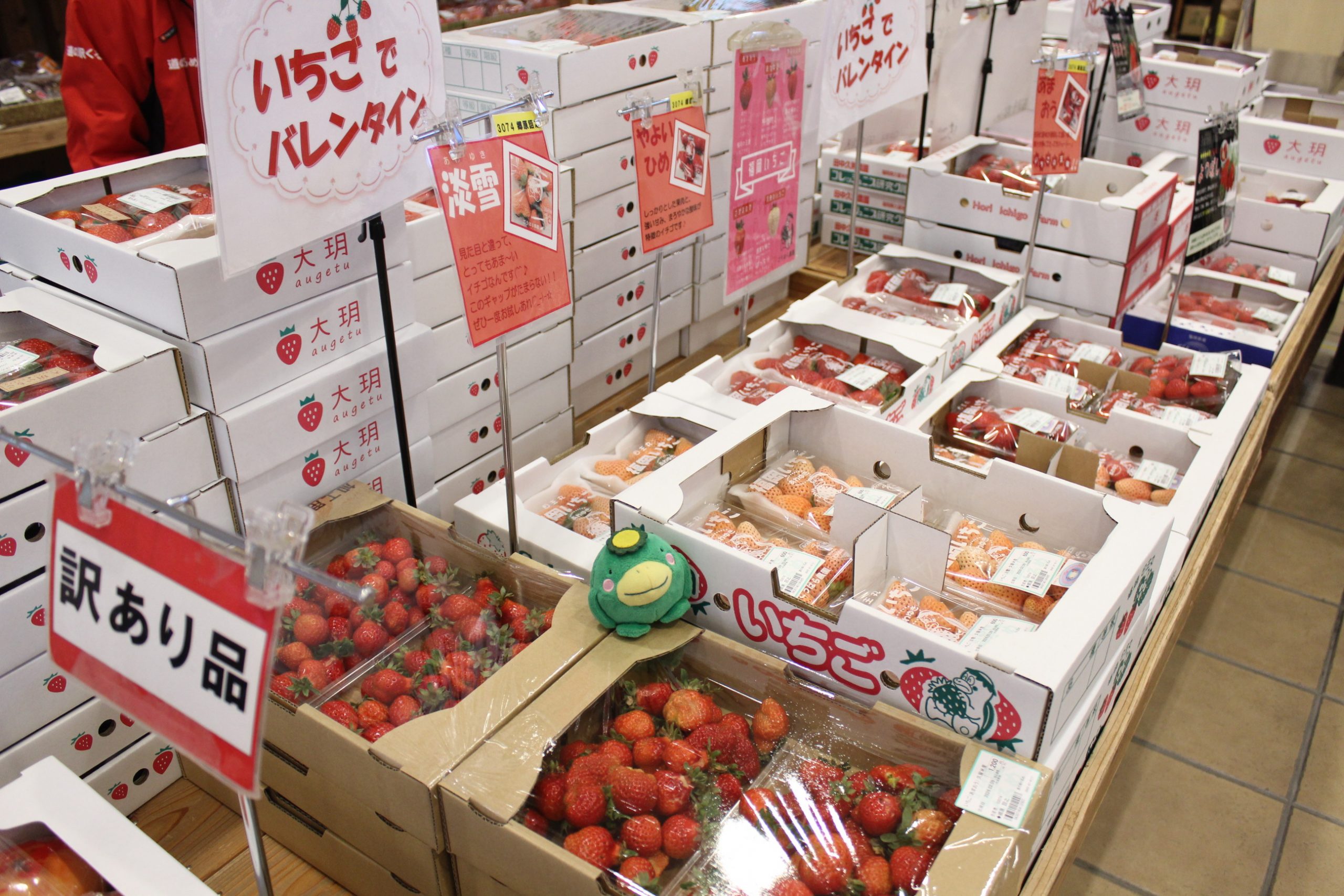 【本日の農産物情報】今日も元気に営業中です！