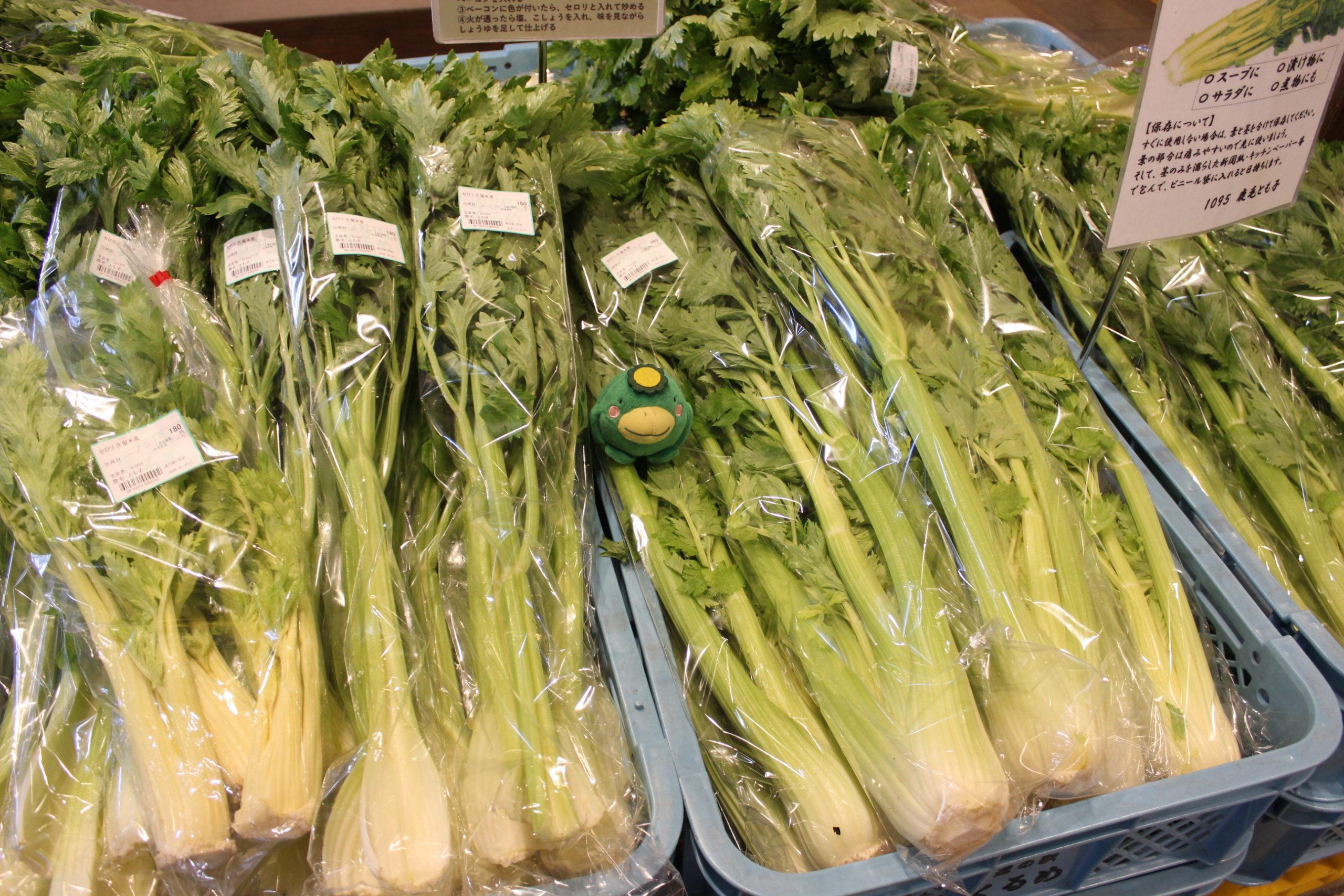 【本日の農産物情報】今日も元気に営業中です！