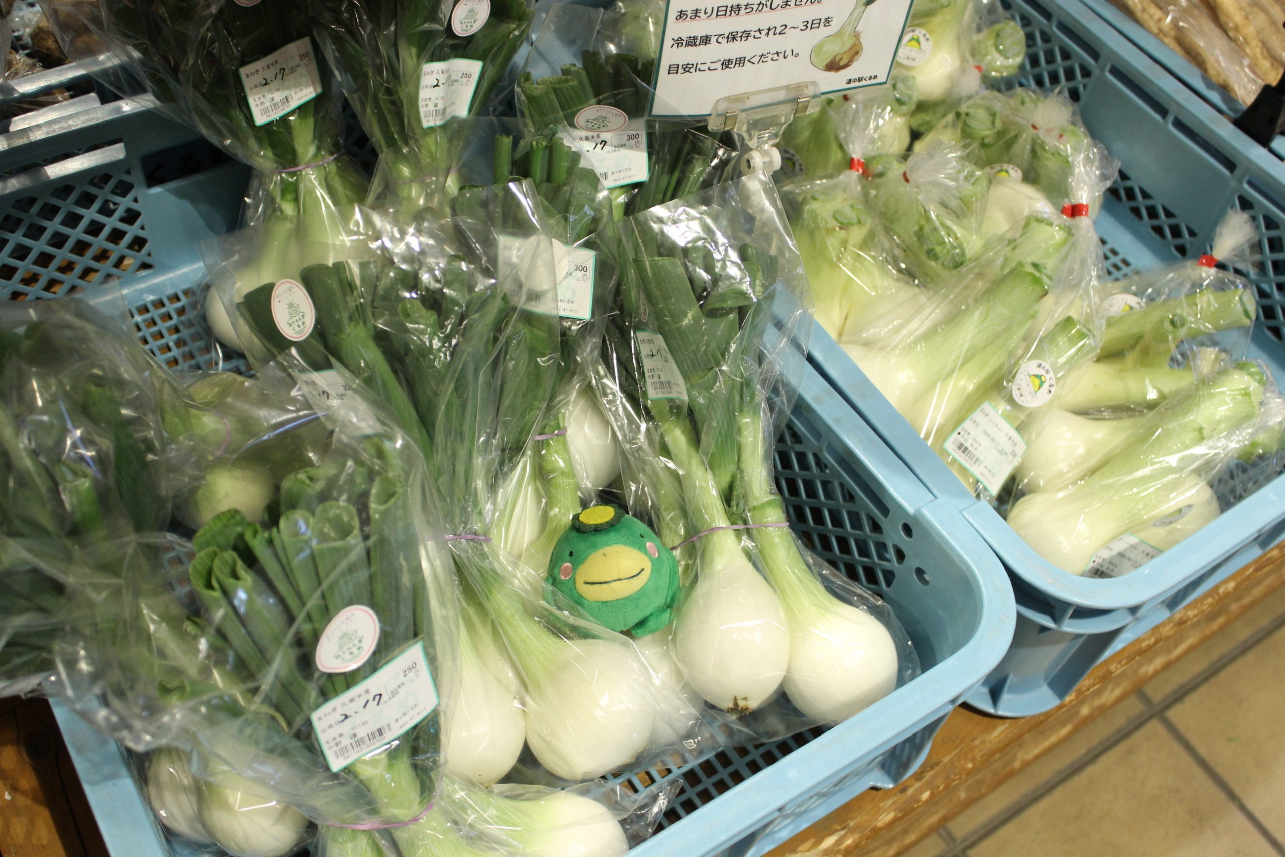 【2月17日の農産物情報】本日も元気に営業中です！