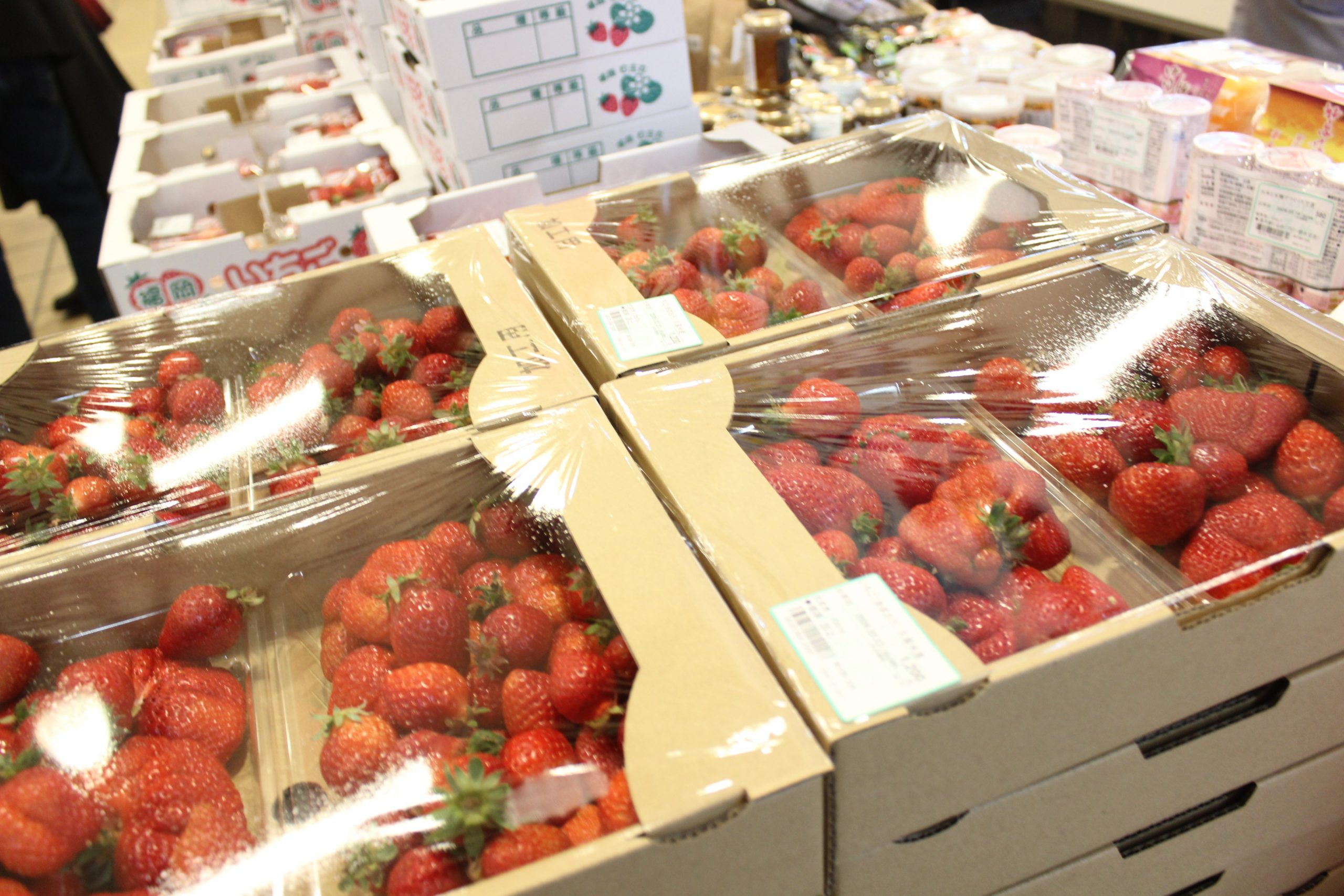 【2月23日の農産物情報】本日も元気に営業中です！