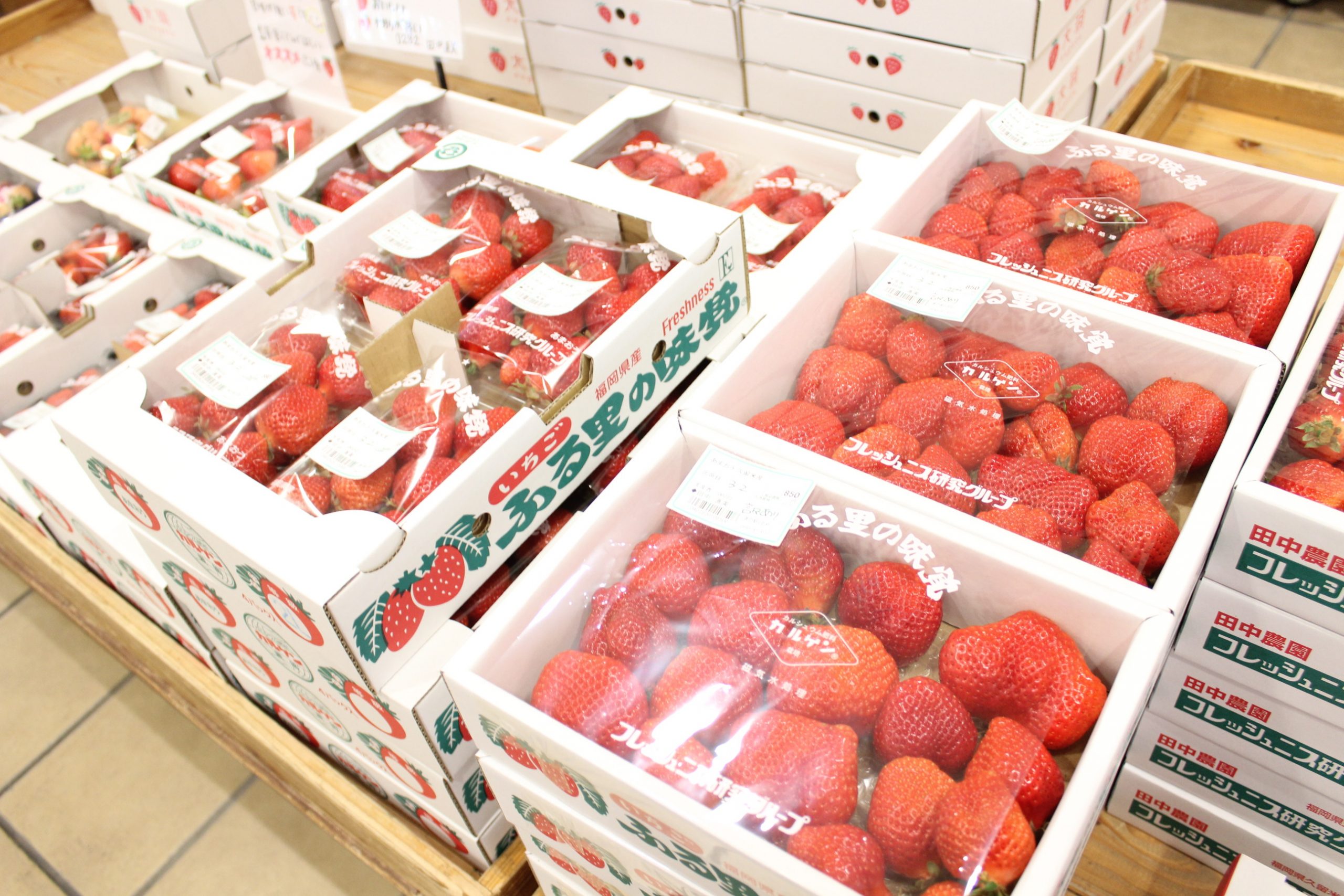 【3月2日(月)の農産物情報】本日も元気に営業中です！