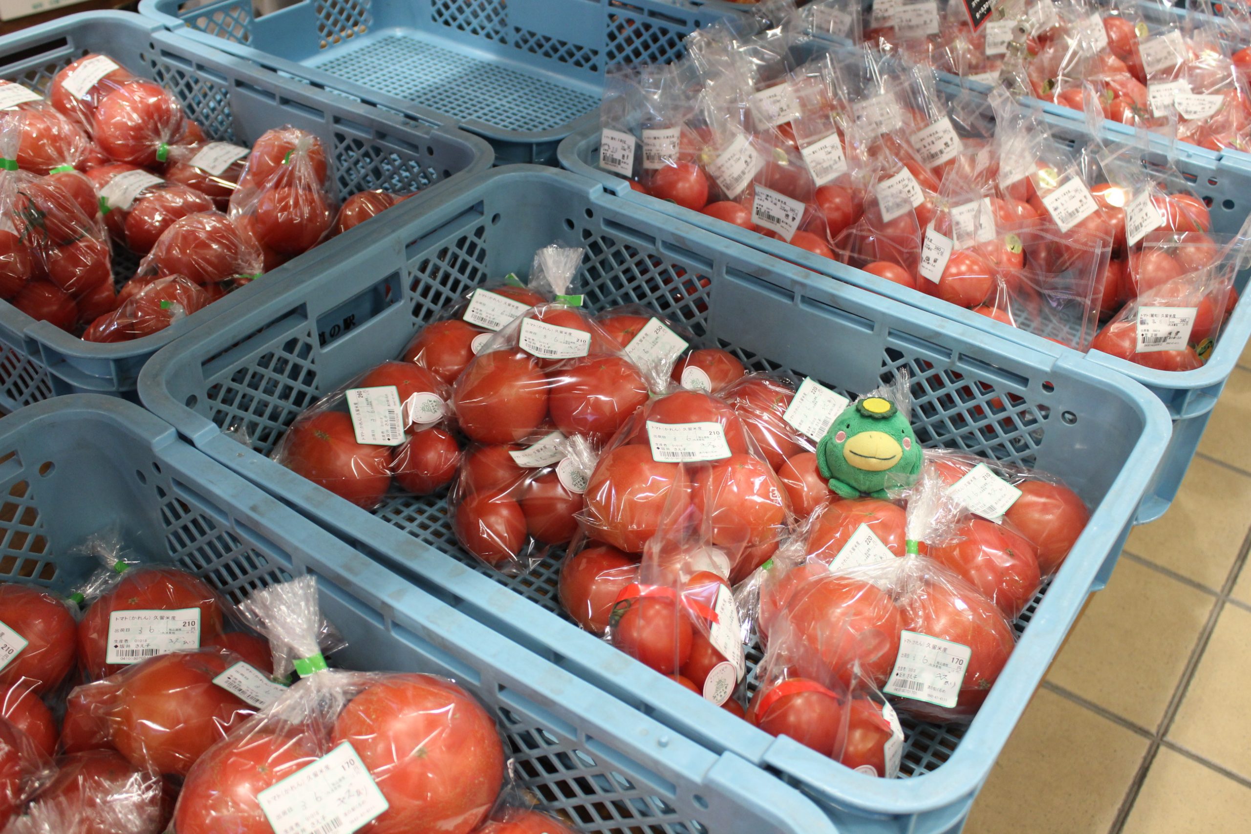 【3月6日(金)の農産物情報】本日も元気に営業中です！