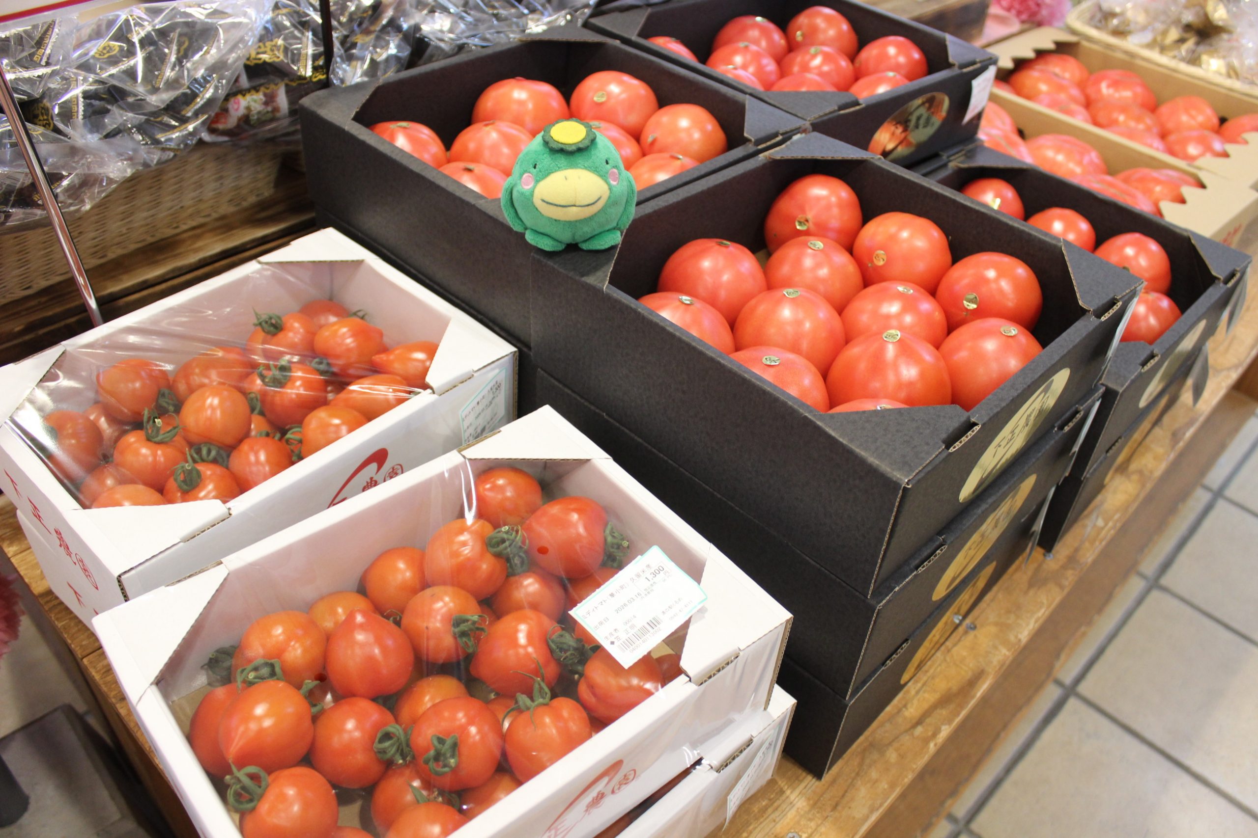 【3月16日(月)の農産物情報】本日も元気に営業中です!