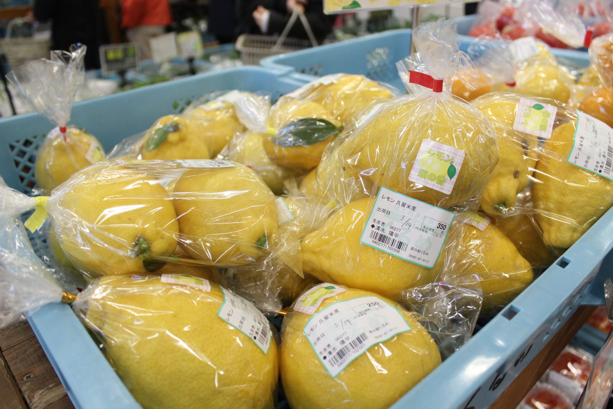 【3月20日(金)の農産物情報】本日も元気に営業中です！