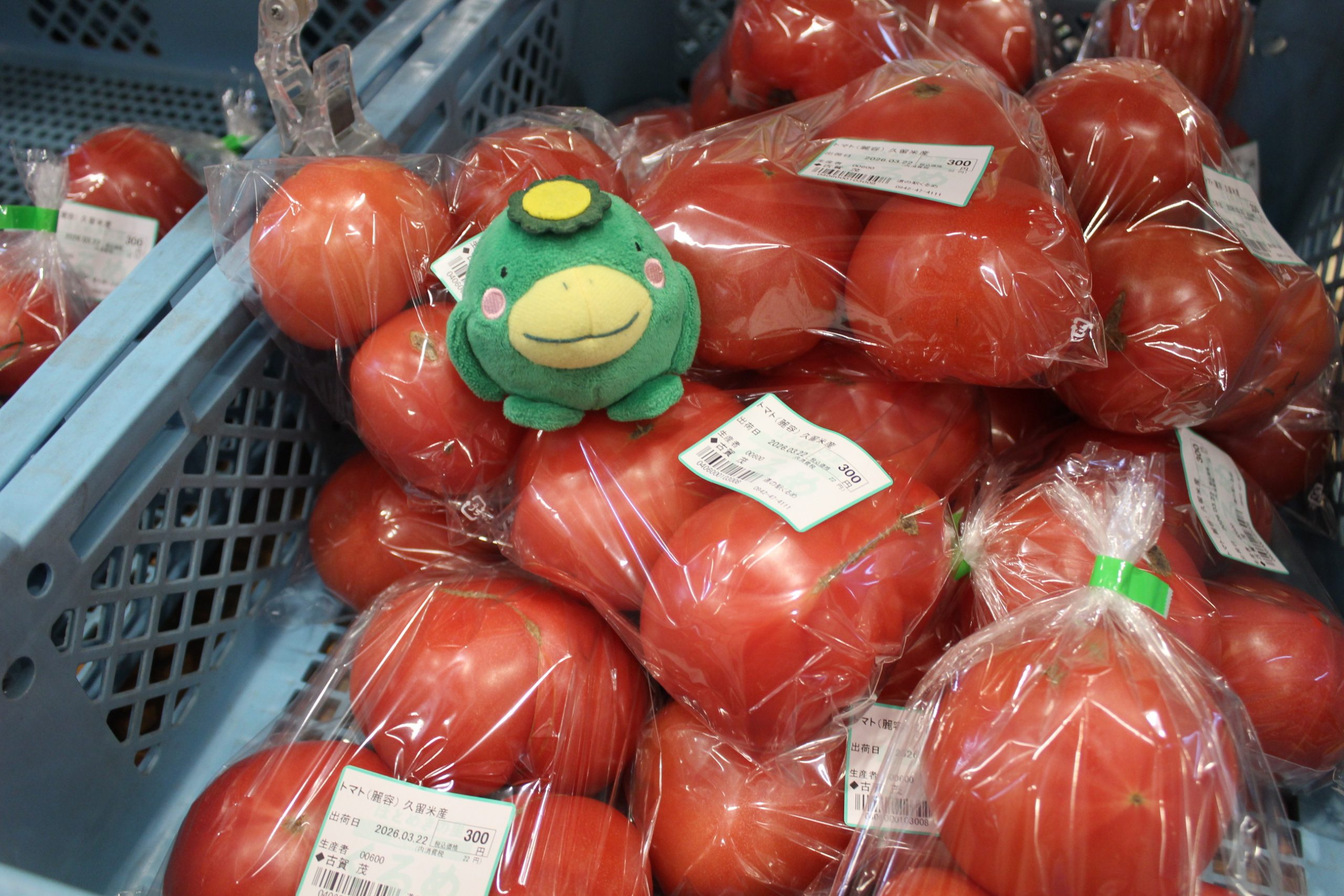 【3月22日(日)の農産物情報】本日も元気に営業中です!