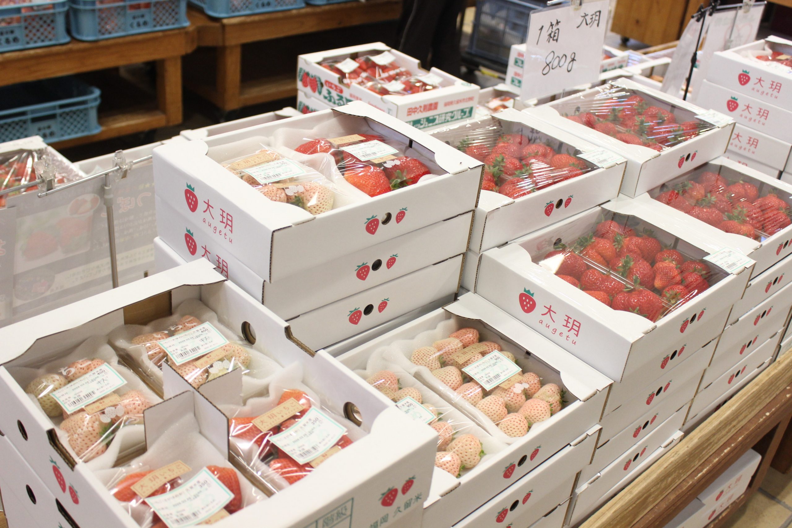 【3月26日(木)の農産物情報】本日も元気に営業中です!