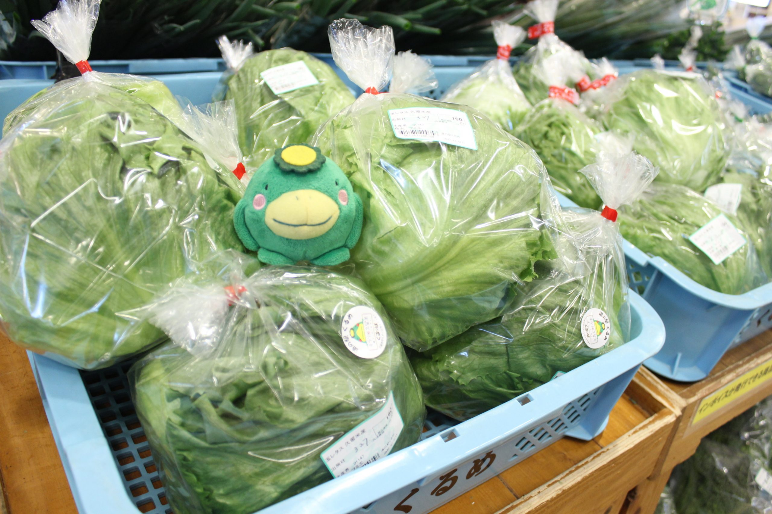 【3月27日(金)の農産物情報】本日も元気に営業中です!