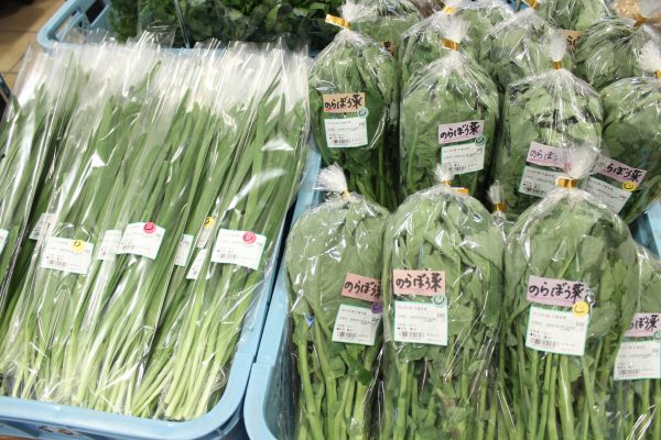 【3月29日(日)の農産物情報】桜まつり本日まで実施中です!