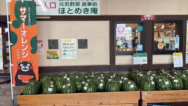 サマーオレンジ入荷のお知らせ