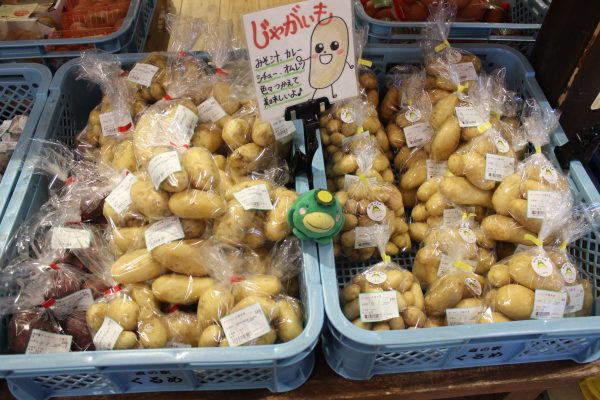 【4月8日(水)の農産物情報】本日も元気に営業中です!