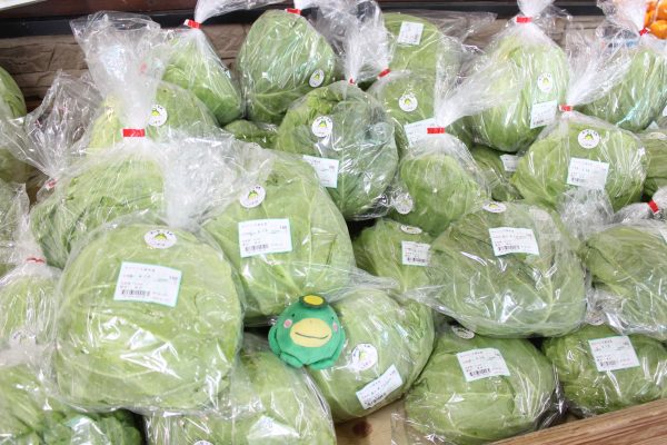 【4月13日(月)農産物情報】本日も元気に営業中です!