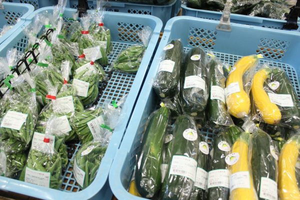 【4月24日(金)の農産物情報】本日も元気に営業中です！