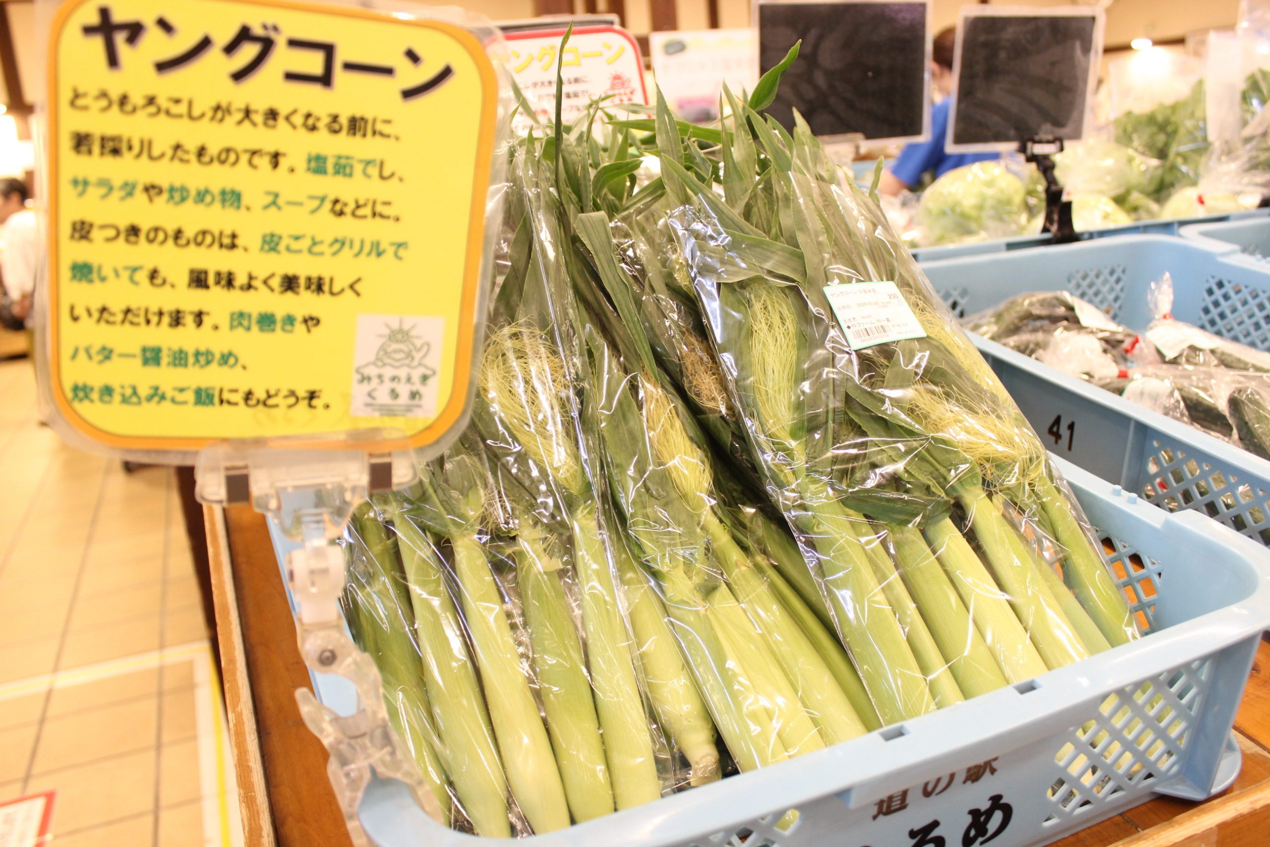 【農産物情報】ヤングコーンの出荷がはじまっています！