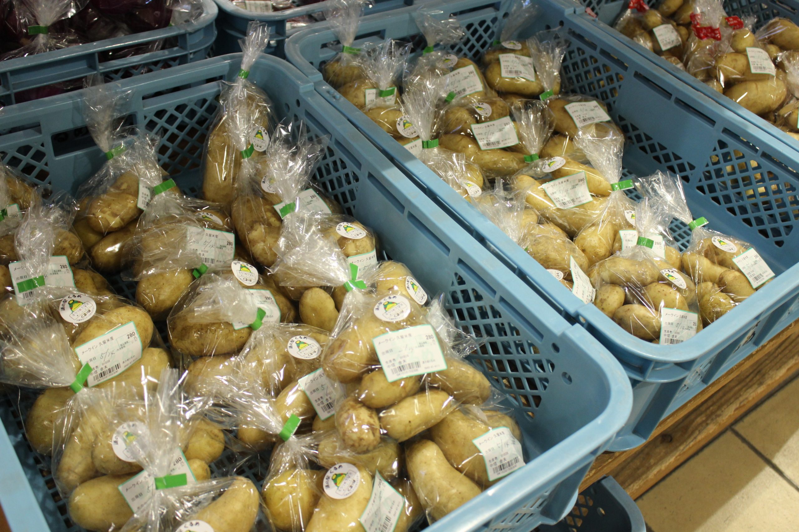 【農産物情報】じゃがいもの出荷が好調です！