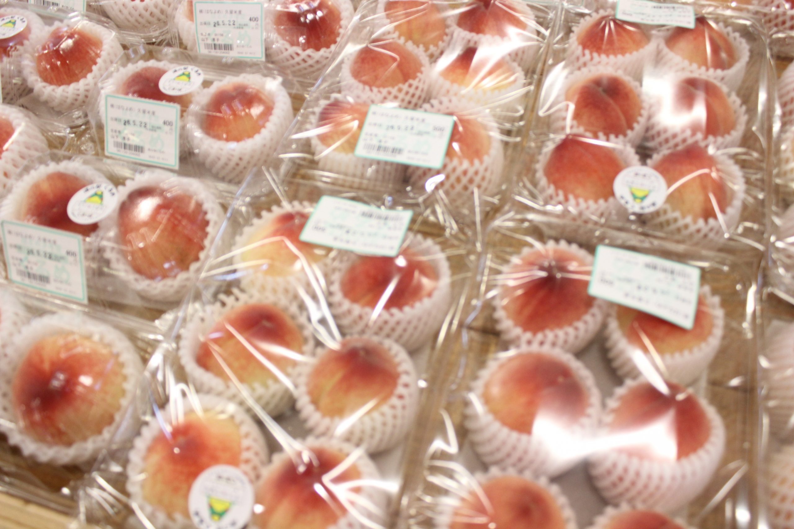 【農産物情報】桃の出荷がはじまりました!