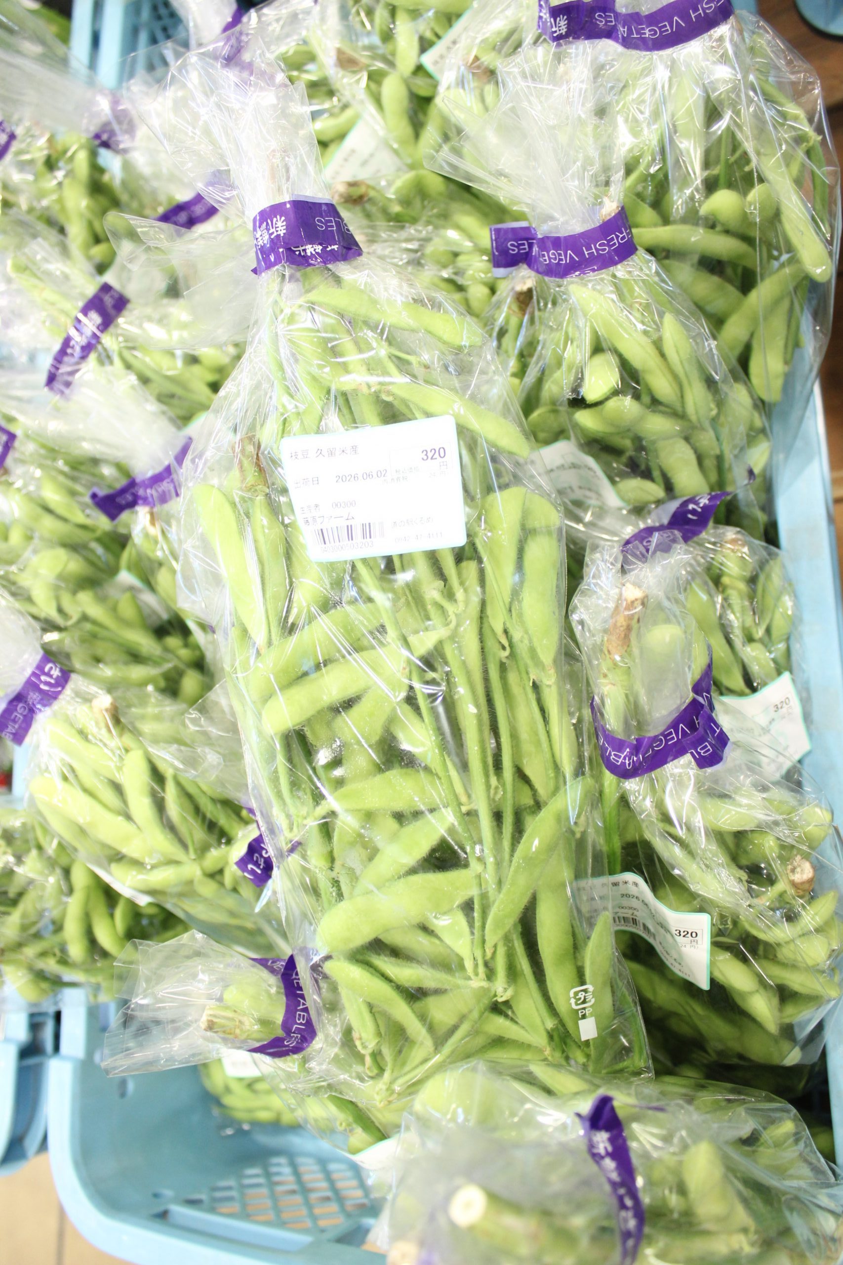 【農産物情報】枝豆はいかがですか？