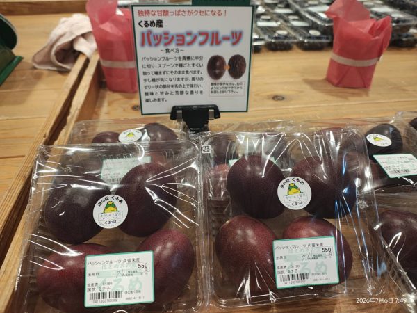 【農産物情報】久留米でもパッションフルーツ