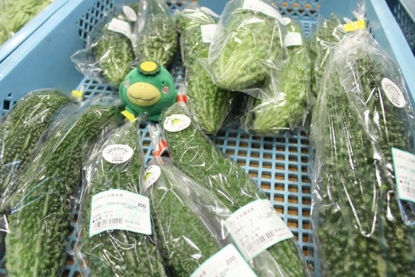 【農産物情報】ゴーヤーの出荷が始まりました！