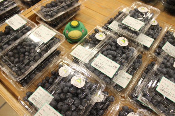 【農産物情報】ブルーベリーはいかがですか?