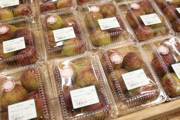 【農作物情報】いちじくの出荷がはじまっています!